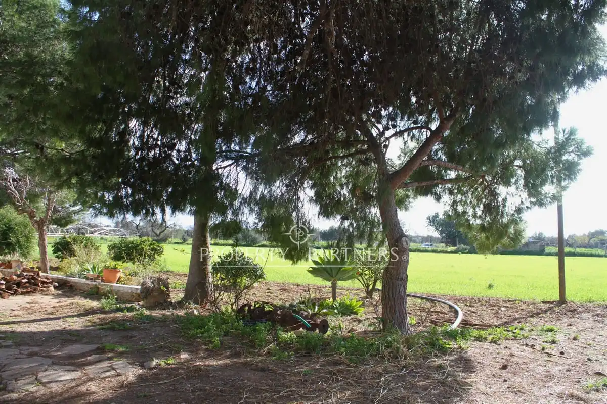Xalet amb jardí en venda a Son Nebot