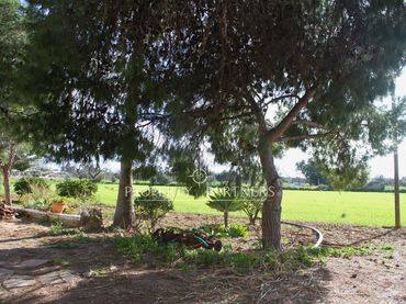 Xalet amb jardí en venda a Son Nebot
