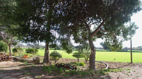 Auténtica finca mallorquina de 1872 con gran potencial de reforma y sistema de regadío.