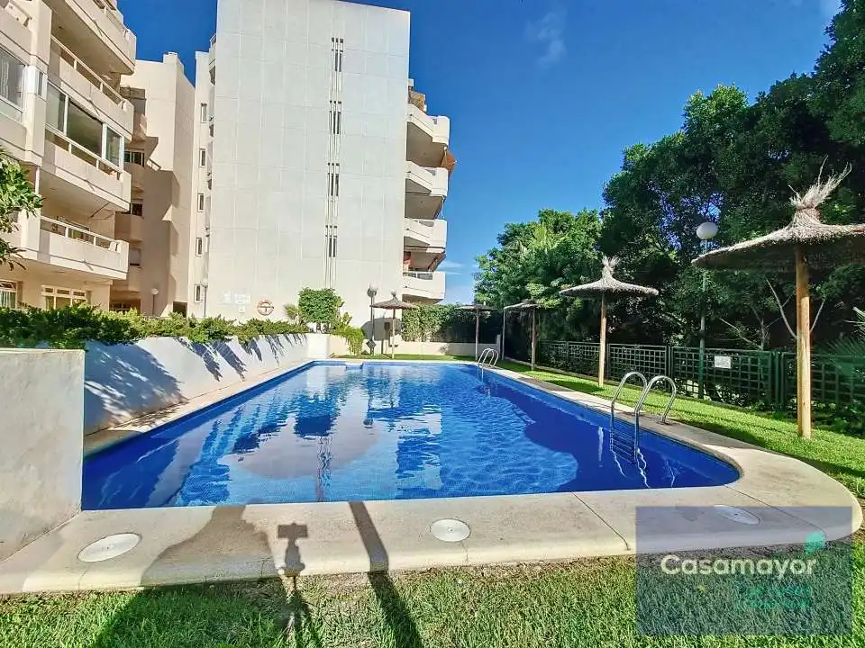 Ático con terraza en alquiler en Playa de San Juan - El Cabo de las Huertas, imagen 23
