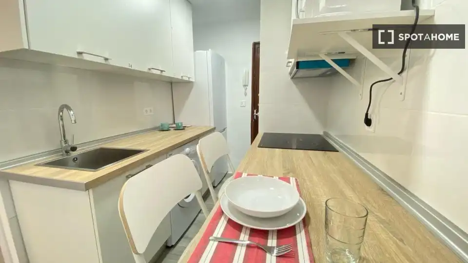 Cuina de Pis de lloguer en Madrid amb Aire condicionat, Calefacció i Moblat