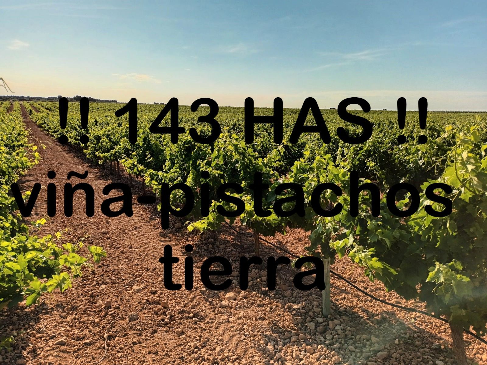 Garden of Land for sale in Ciudad Real Capital