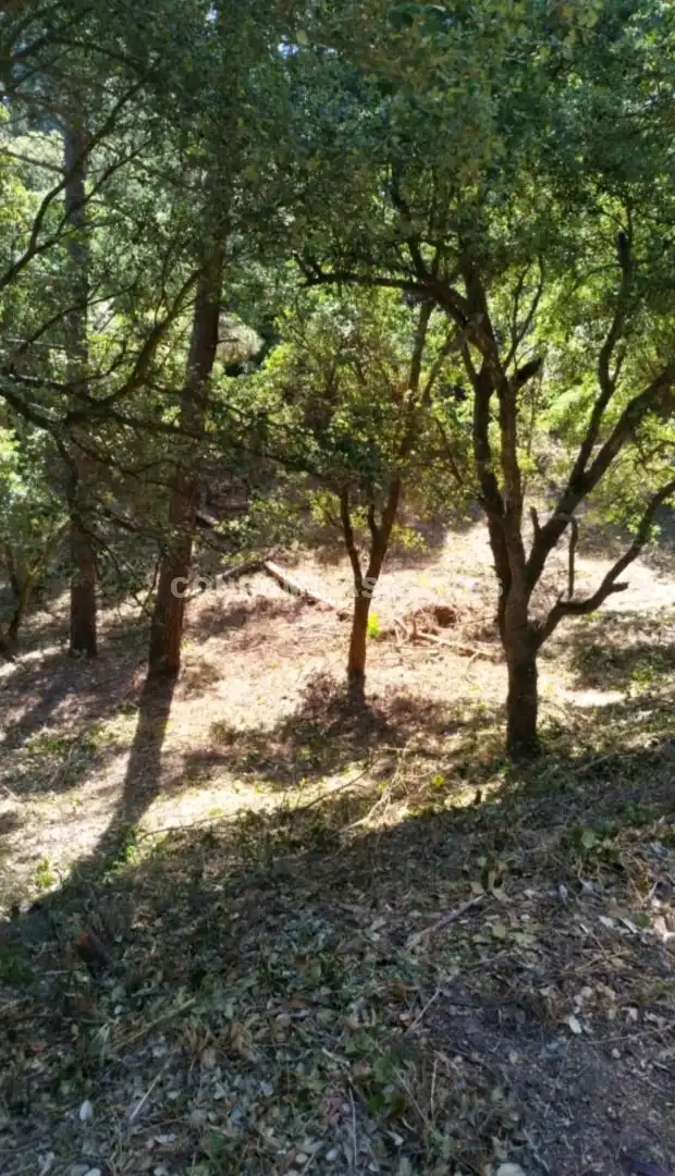 Wohnbaugrundstück zum Verkauf in Lloret Blau - La Creu de Lloret, imagen 3