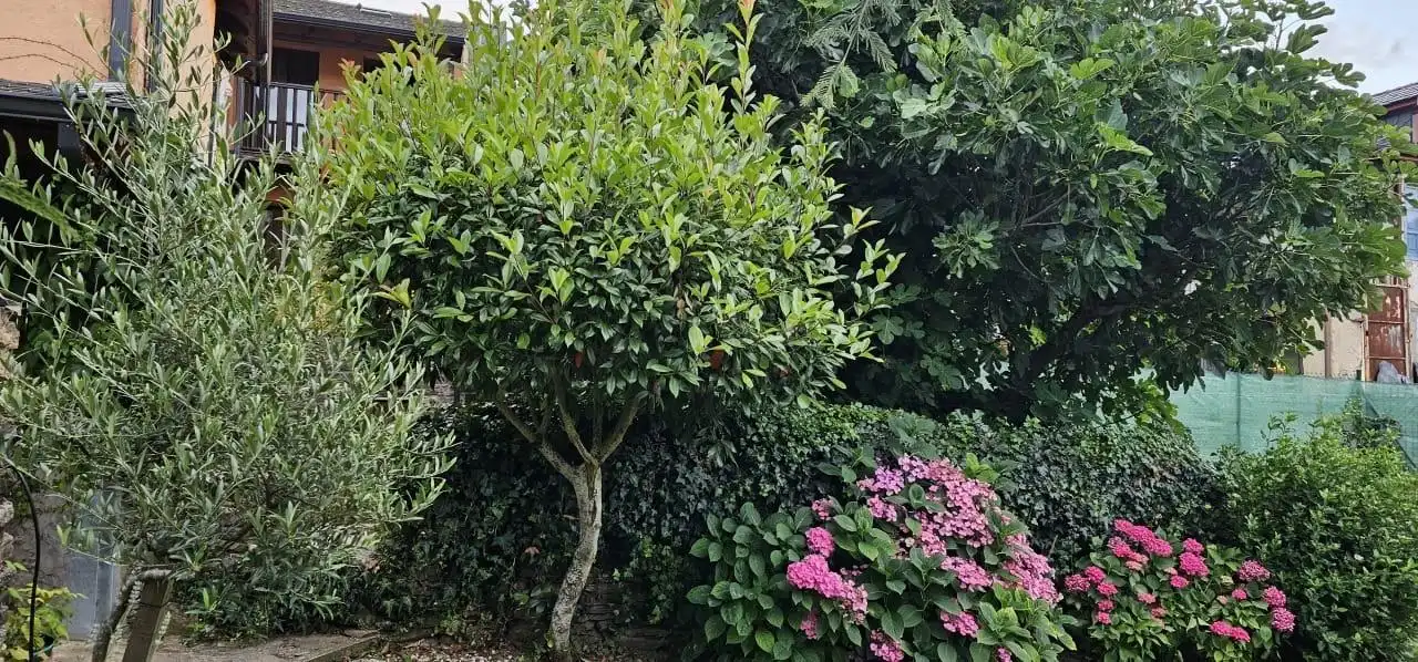 Jardí de Finca rústica en venda en Ponferrada amb Jardí privat