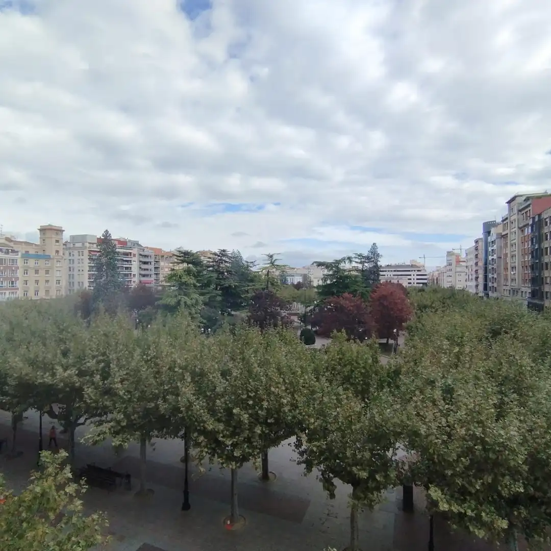 Pis amb terrassa en venda a Calle Miguel Villanueva
