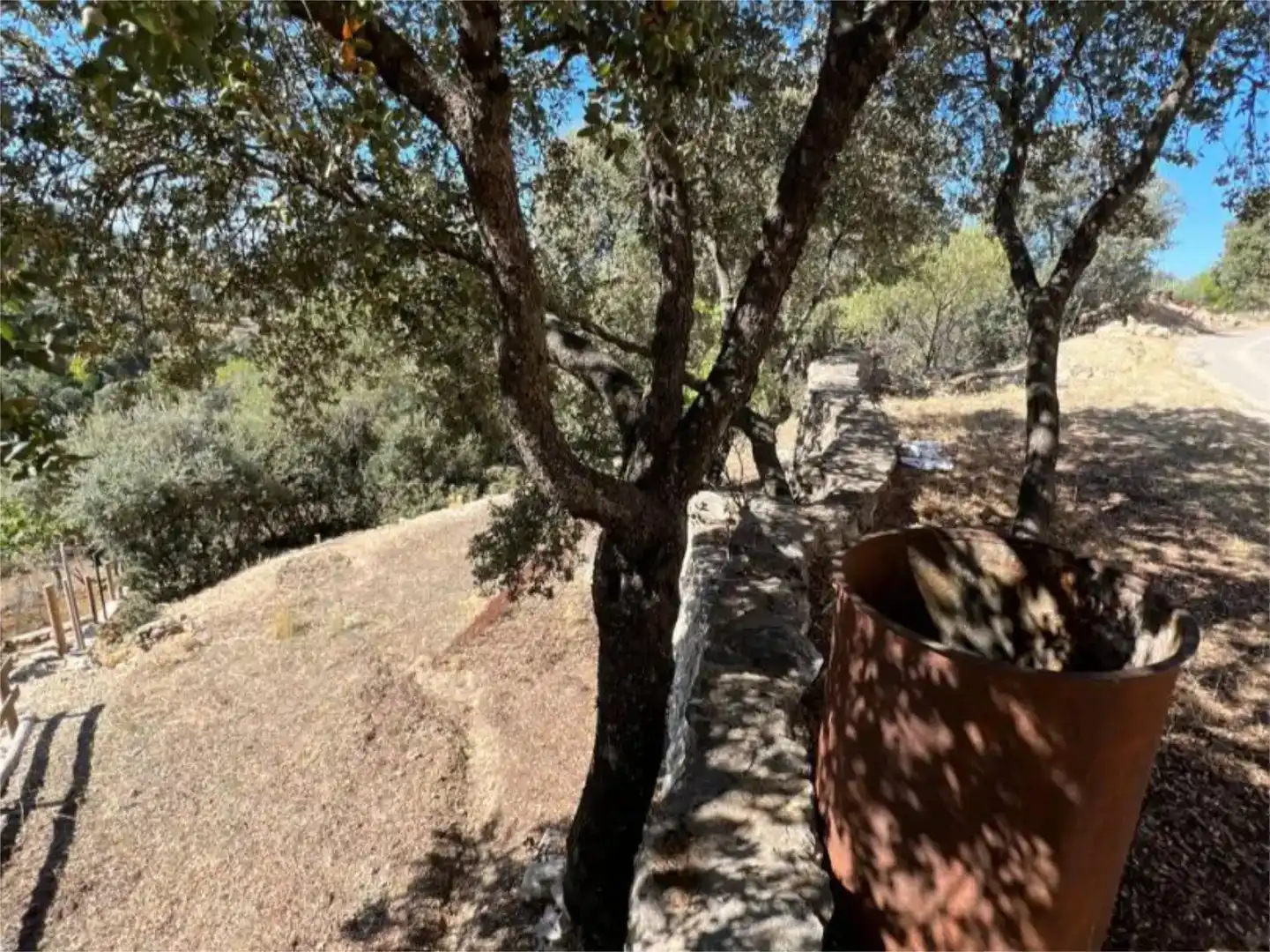Jardí de Finca rústica en venda en Santiago-Pontones