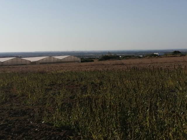 Terreno en Venta en Conil