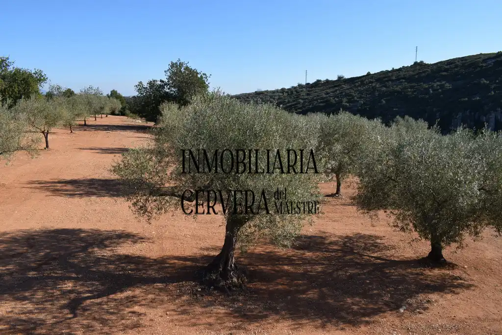 Finca rústica en venda en Cervera del Maestre amb Terrassa