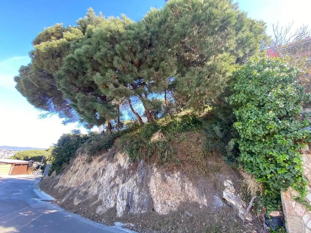 Terreno residenziale in vendita a Santa Cristina - Sant Francesc, imagen 6