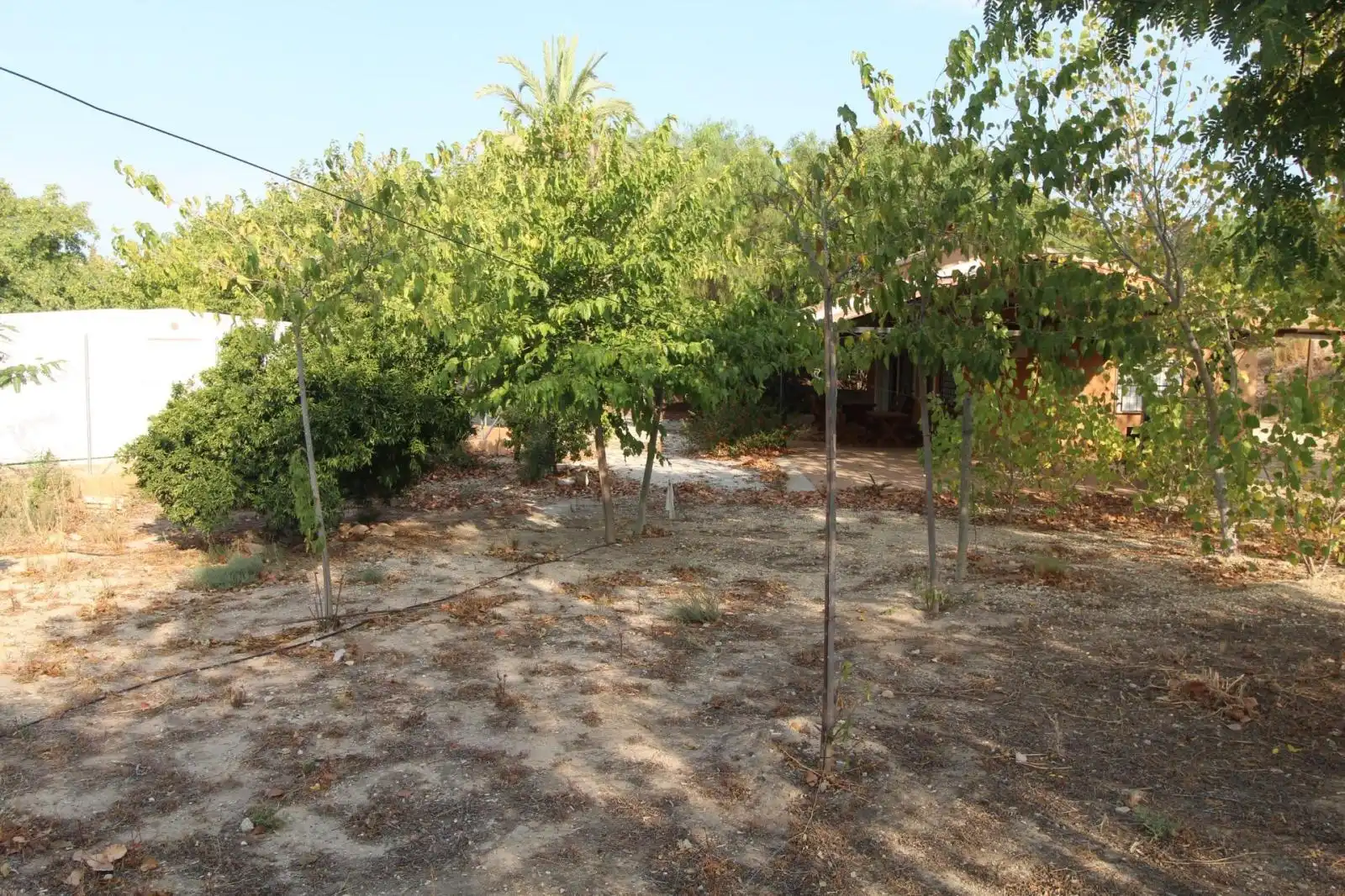 Casa o xalet en venda en Mula