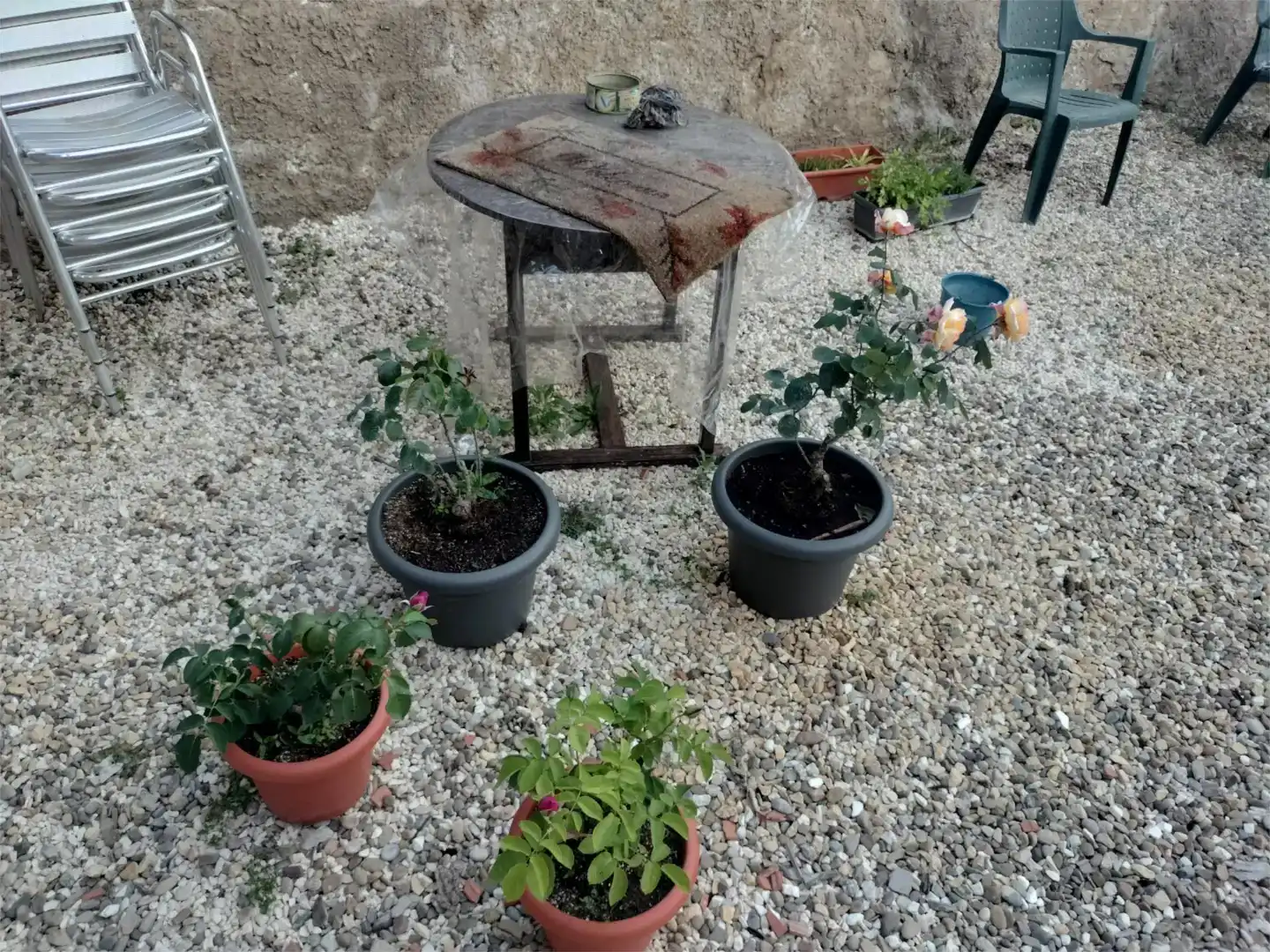 Jardí de Finca rústica en venda en Villafeliche amb Aire condicionat, Jardí privat i Balcó