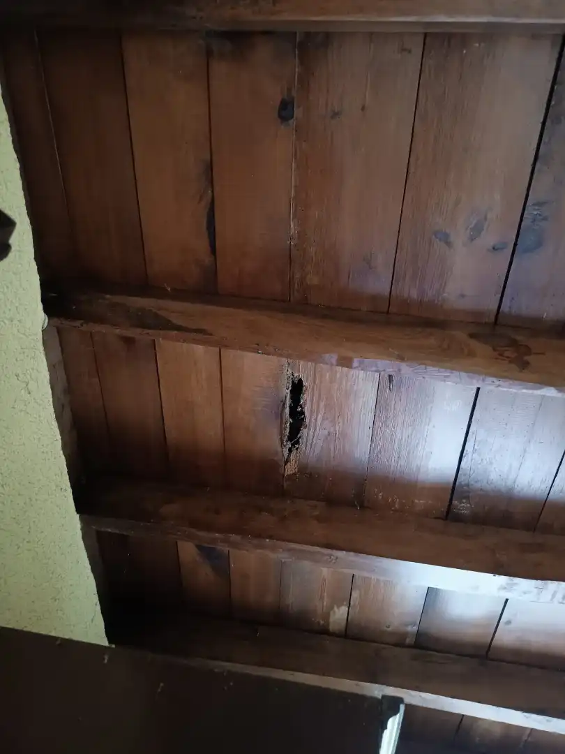 Casa o xalet en venda en Laviana amb Calefacció, Jardí privat i Moblat