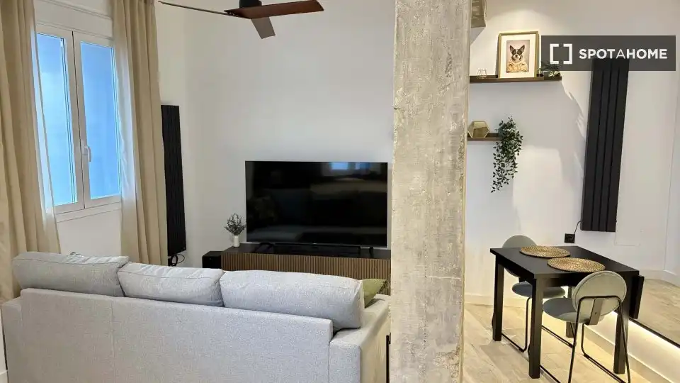 Sala de estar de Piso de alquiler en Madrid con Aire acondicionado, Calefacción y Amueblado