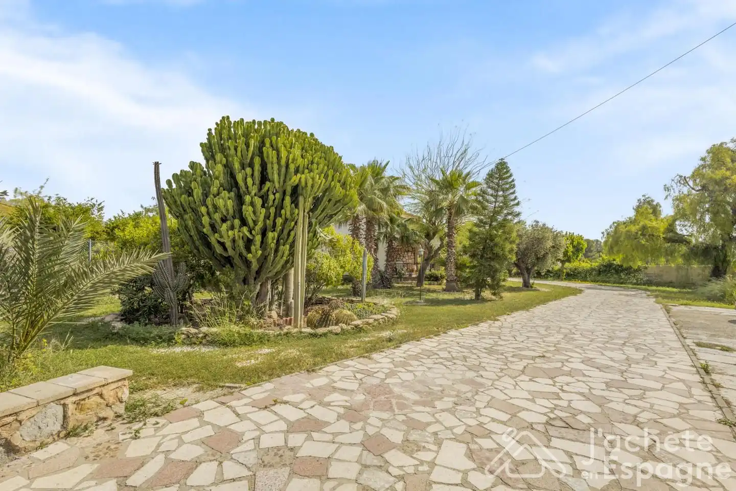 Exterior view of Houses for sale in San Vicente del Raspeig / Sant Vicent del Raspeig  with Private garden, Terrace and Swimming Pool