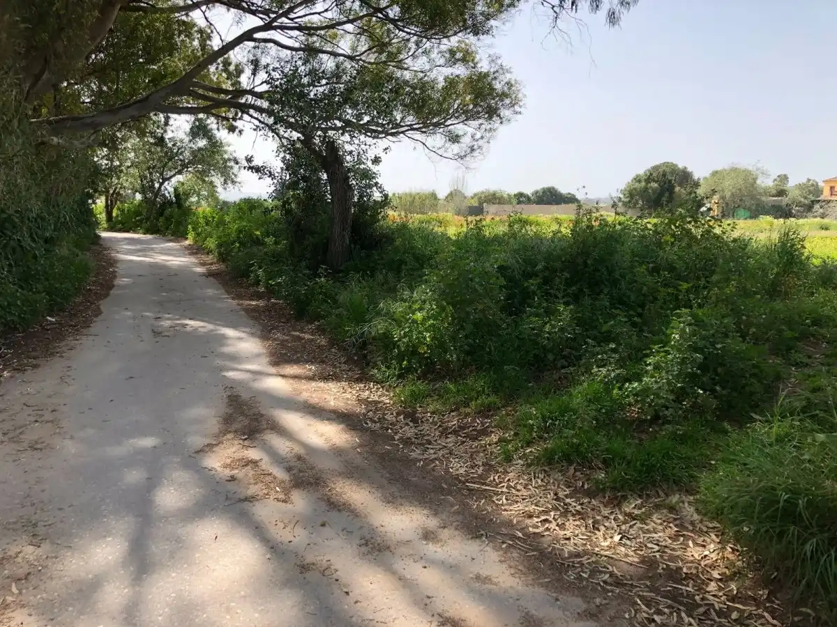 Terreni e lotti in vendita a Barbate ciudad, imagen 8