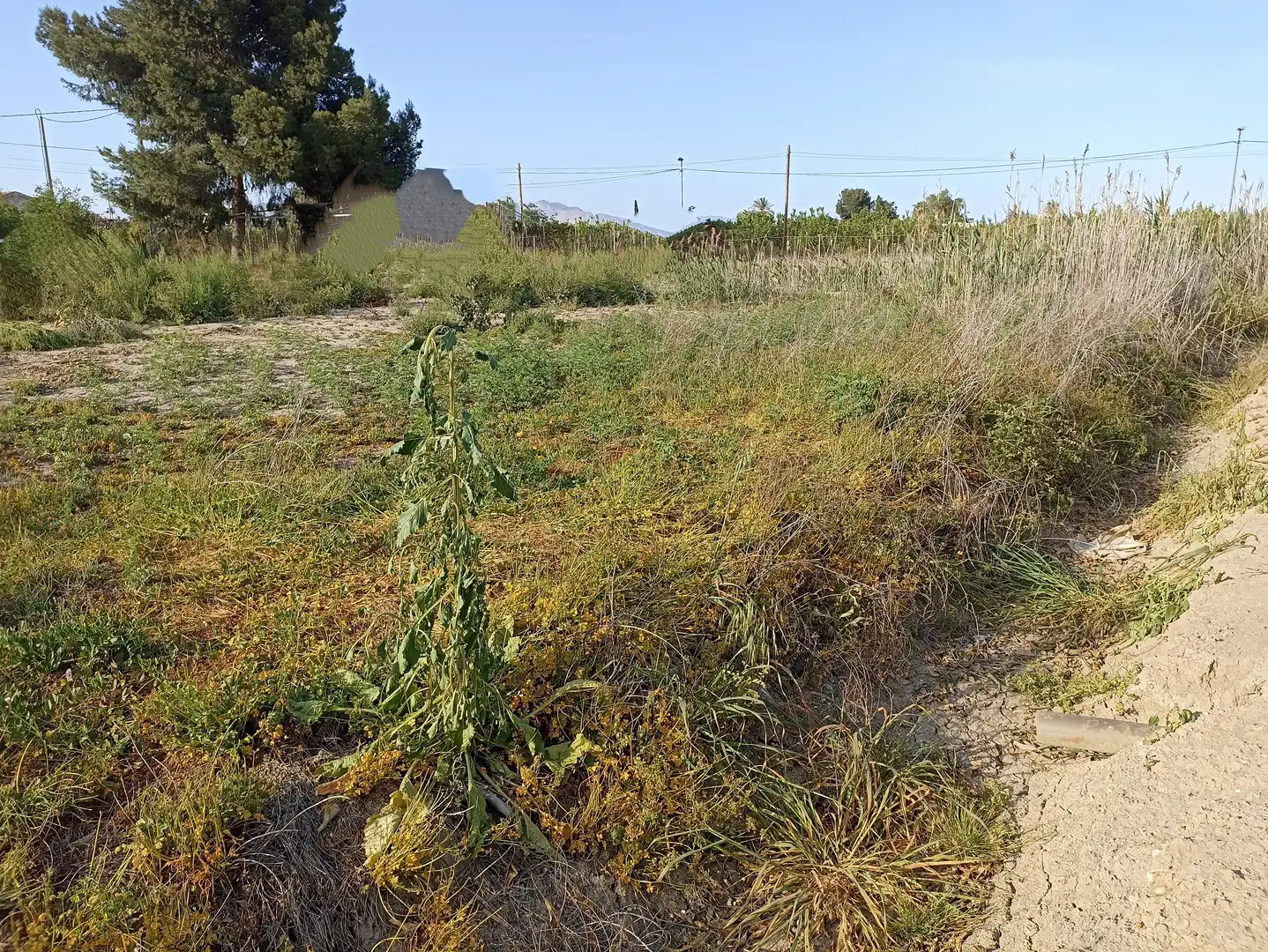 Terrenys i solars en venda a Diseminado Camino Viejo Orihuela 54, imagen 8