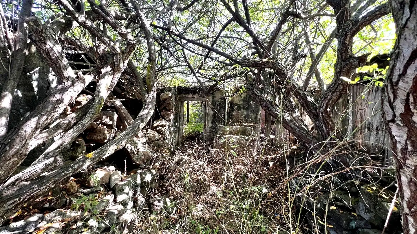 Rural land for sale in La Vega - El Amparo - Cueva del Viento, imagen 4