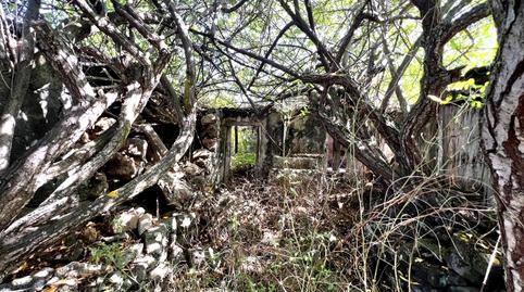 Foto 4 von Country house zum Verkauf in La Vega - El Amparo - Cueva del Viento, Icod de los Vinos