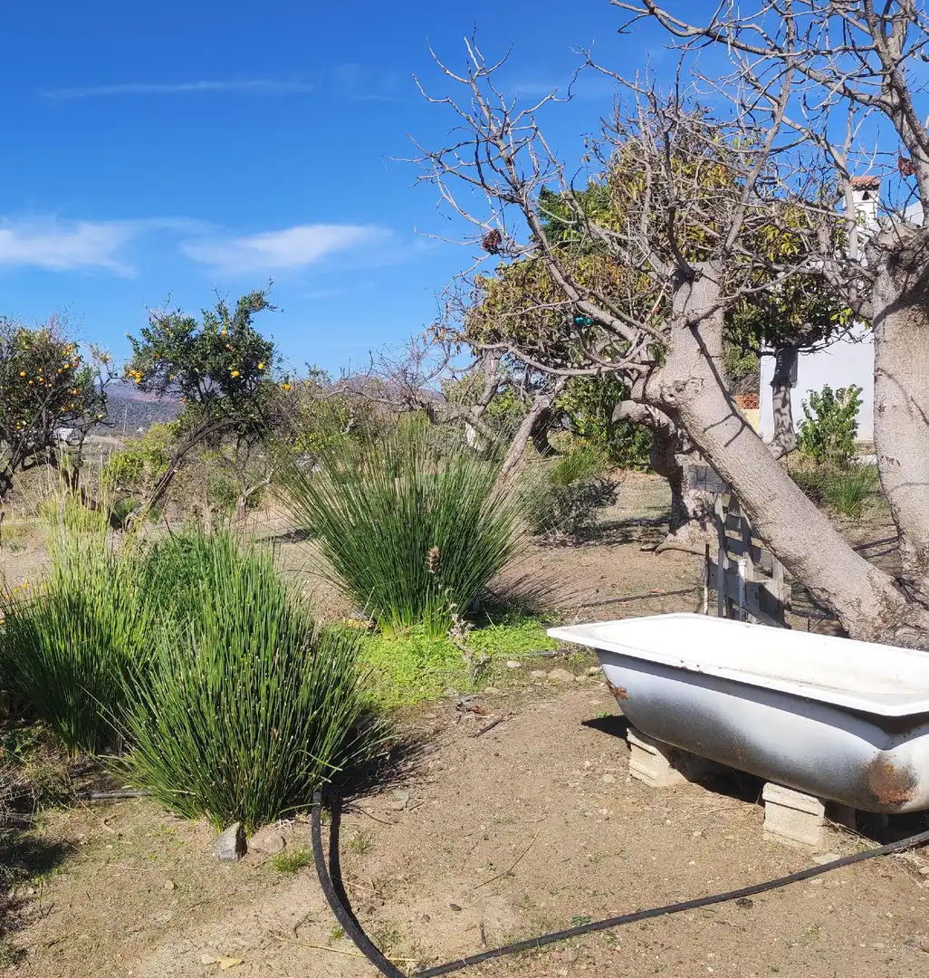 Xalet amb piscina en venda a Estepona Pueblo, imagen 7