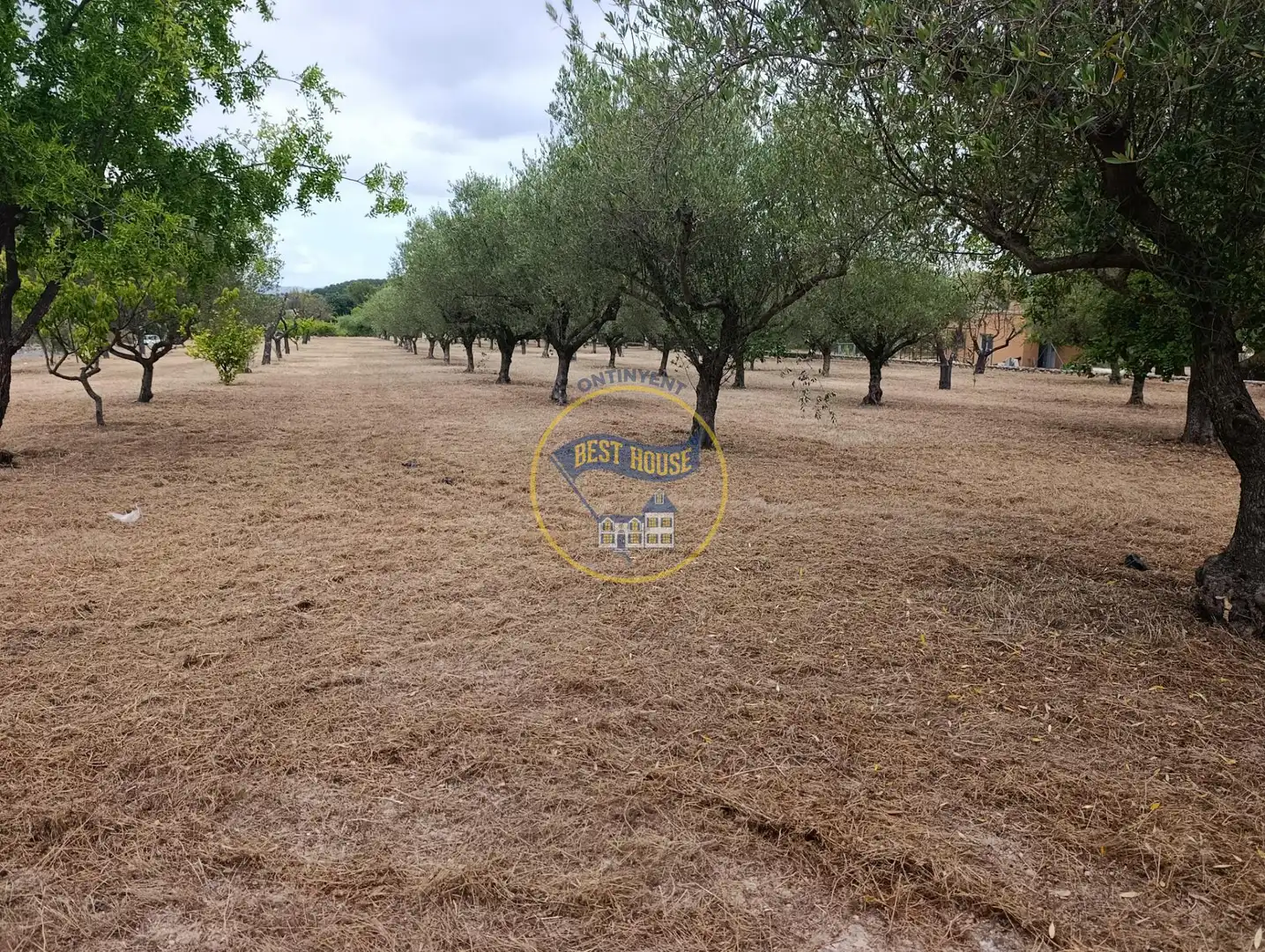 Casa o xalet en venda en Ontinyent amb Jardí privat, Traster i Piscina