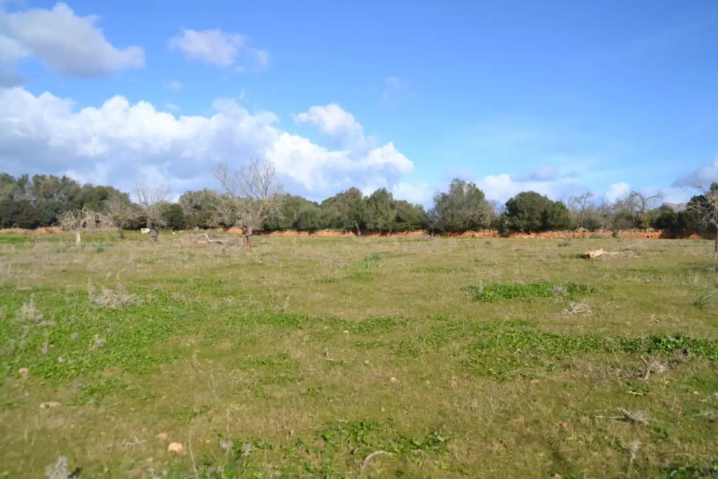 Maison rustique à vendre à Manacor Centre
