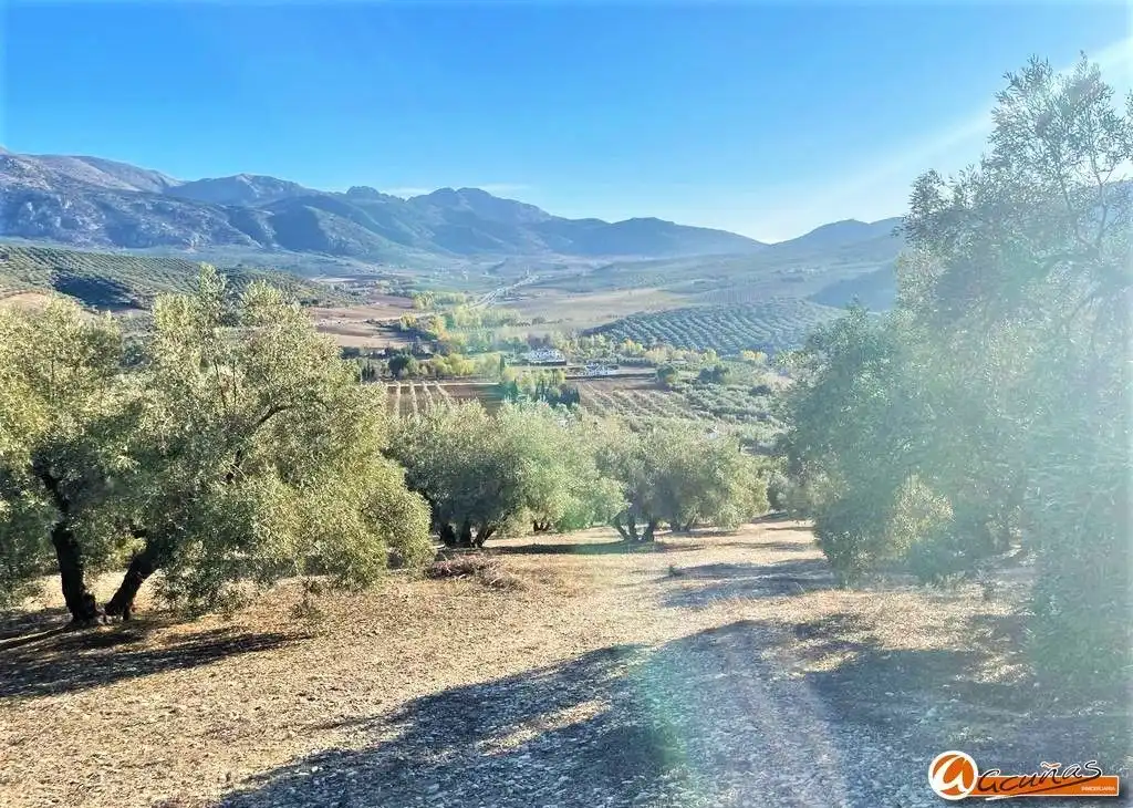 Exterior view of Land for sale in Villanueva del Rosario
