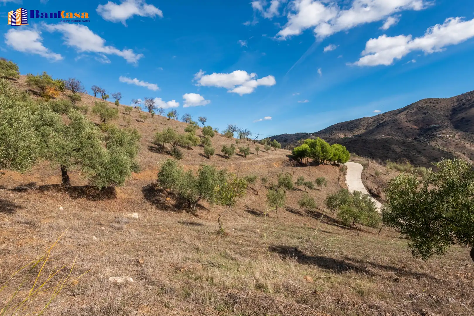 Casa o chalet en venta en Casabermeja con Jardín privado, Piscina y Amueblado