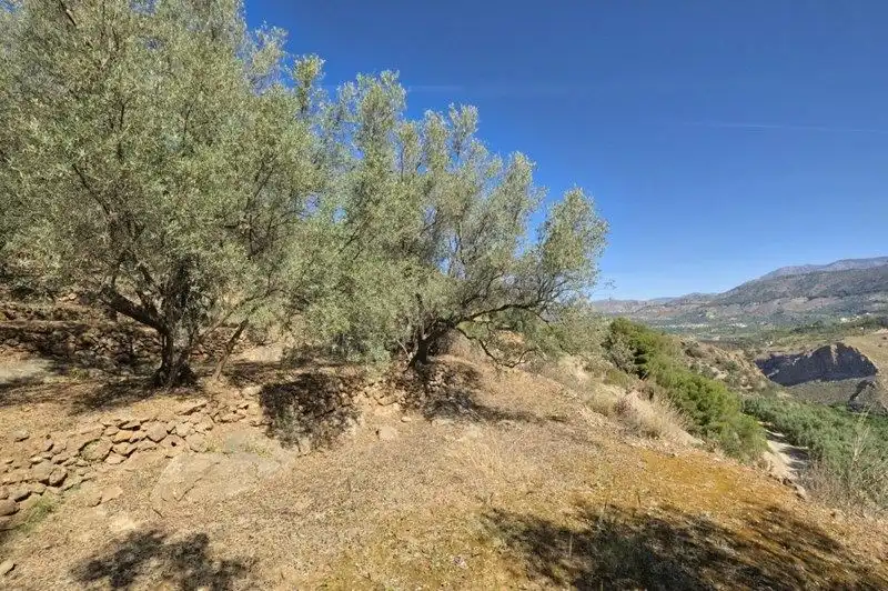Terreno rustico in vendita a El Pinar, imagen 38
