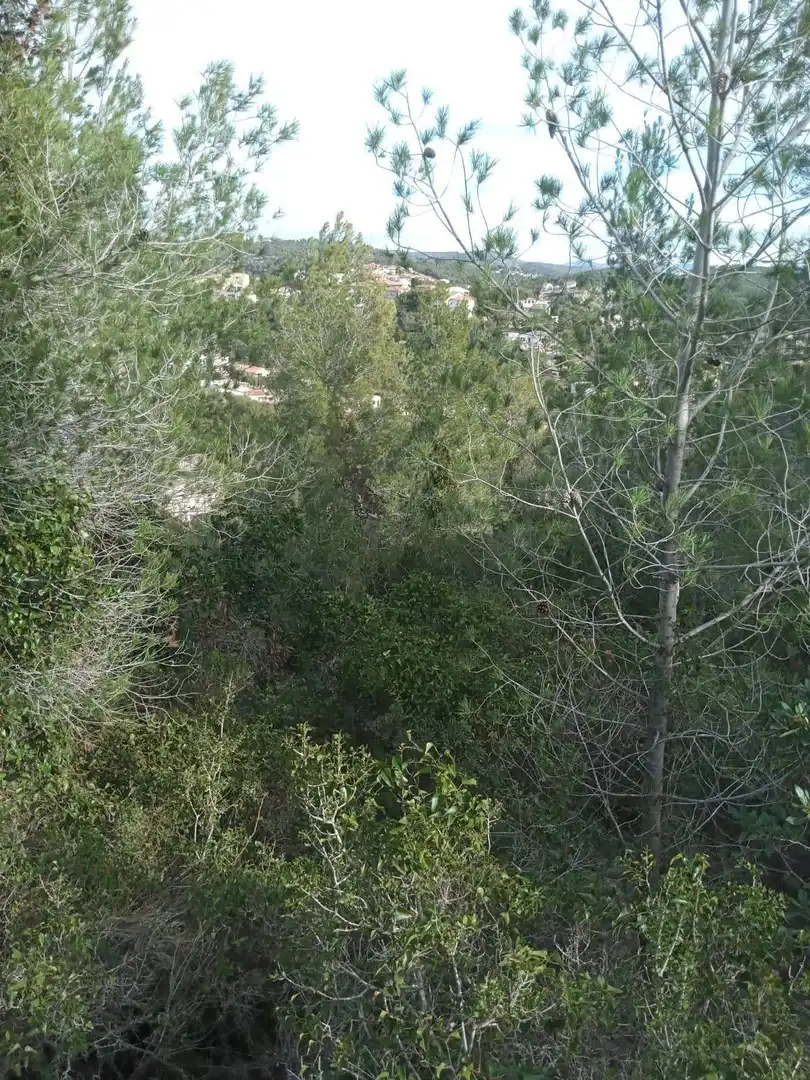 Residential for sale in Carrer Crisantem, 49, Costa Cunit - Els Jardins - Els Rosers