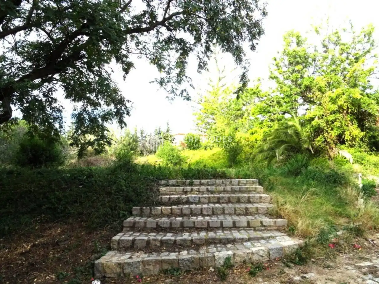 Casa o chalet en venta en Calle Cami de Mataro, Cabrils