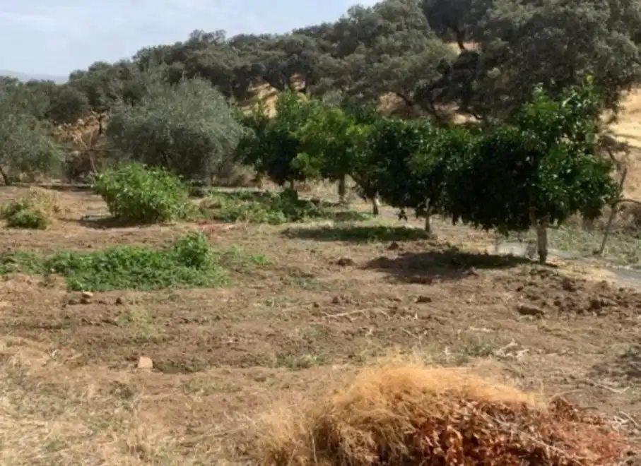 Houses for sale in Fuente Obejuna  with Swimming Pool