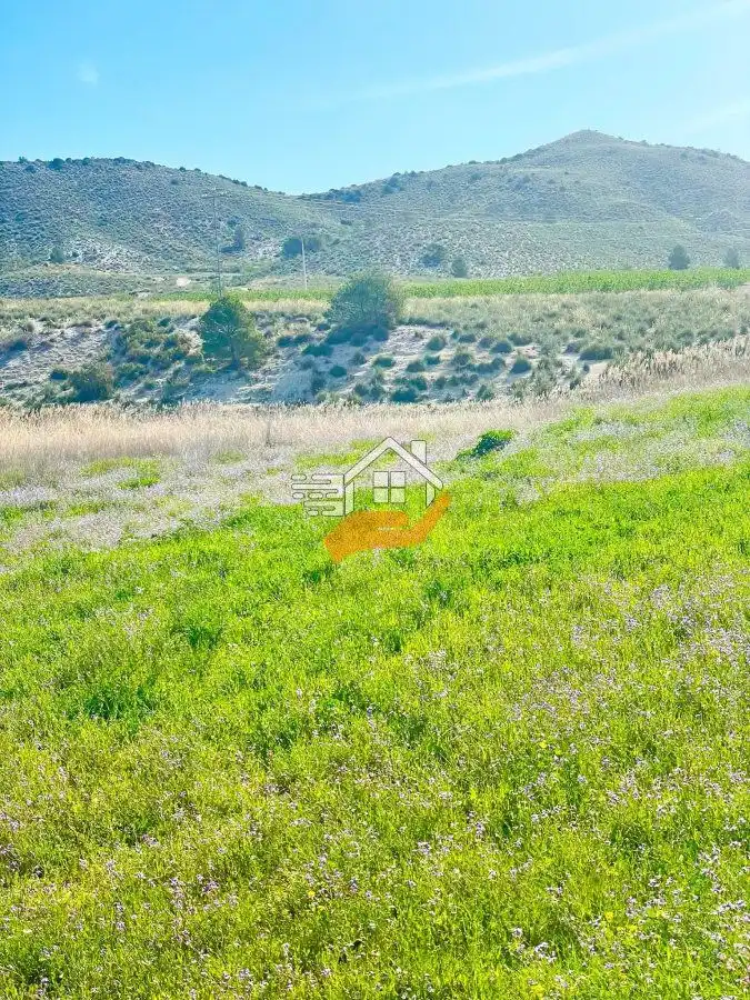 Lands and plots for sale in Pedanías Norte, imagen 12