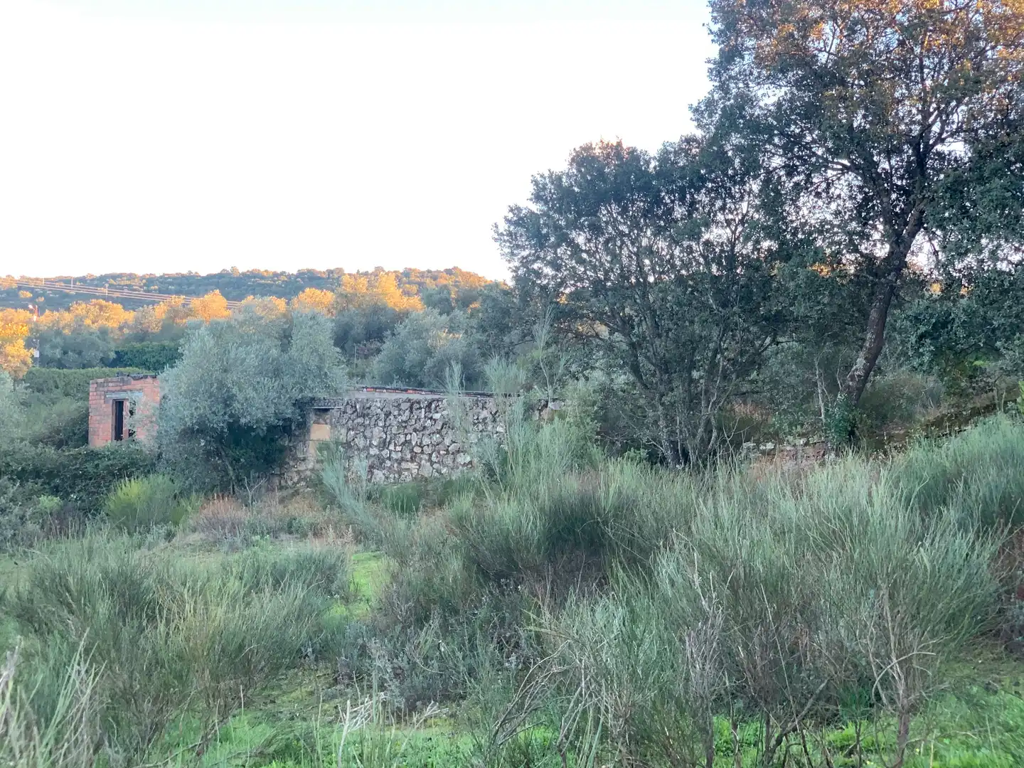 Country homes for sale in N/A, Zona Norte - Hospital - Urbanizaciones