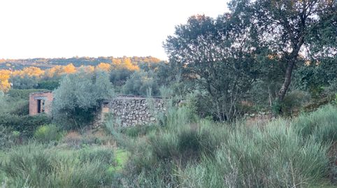 Foto 5 de Finca rústica en venda a N/a, Zona Norte - Hospital - Urbanizaciones, Plasencia