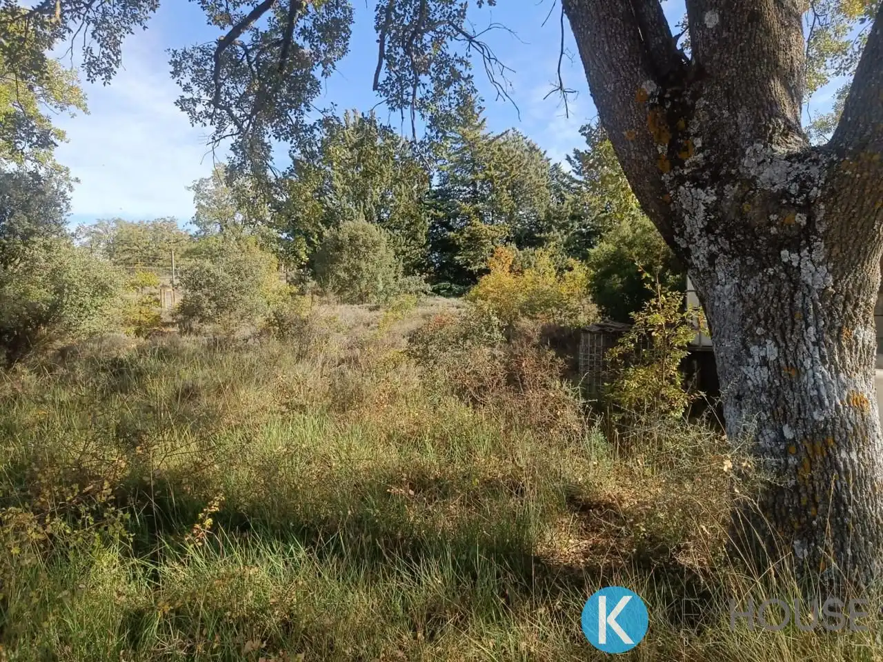 Land for sale in Pastrana