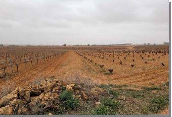 Terreno residencial en Venta en Villagarcía del Llano