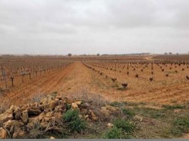 Terrenys i solars en venda a Villagarcía del Llano