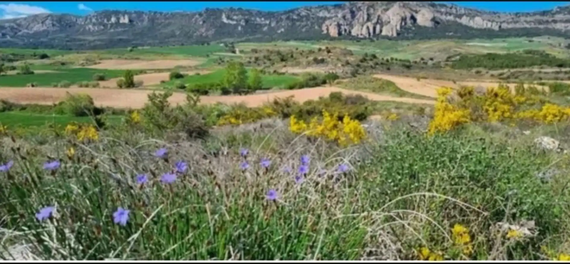 Finca rústica en venda en Quintanaélez amb Calefacció i Terrassa