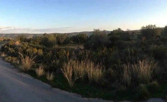 Terreny industrial en venda en Les Coves de Vinromà