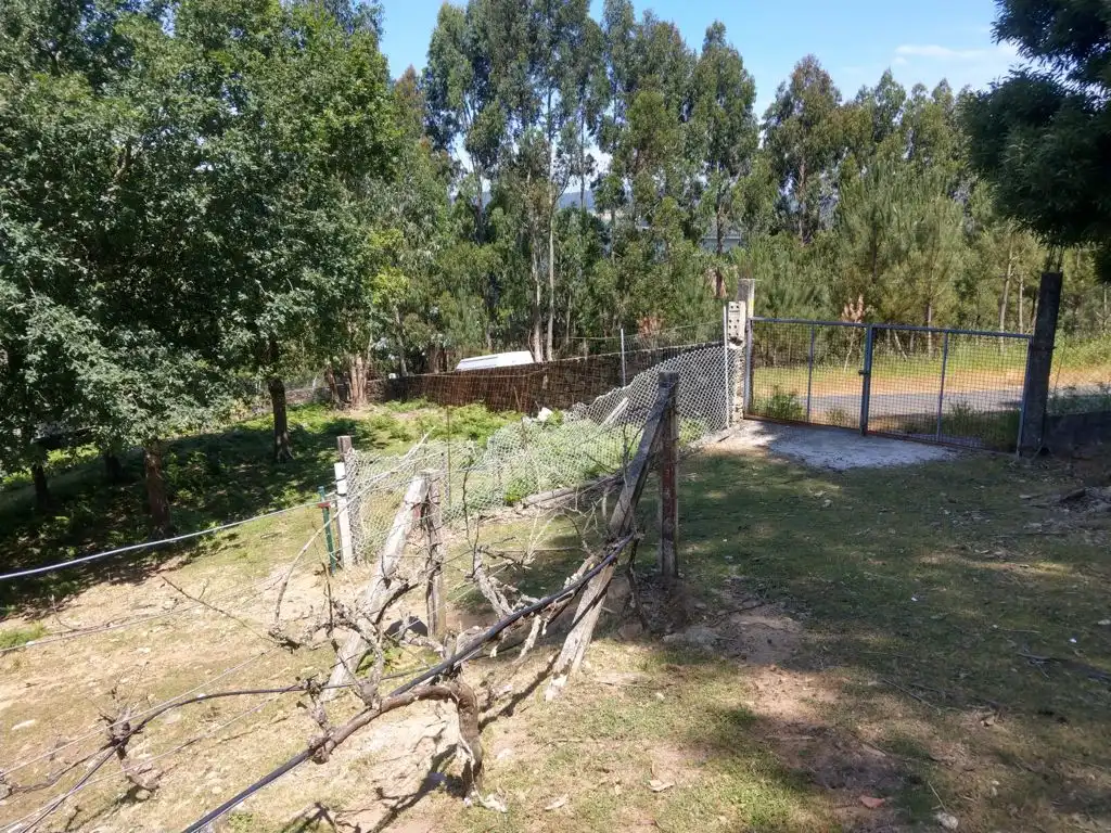 House for sale in Noveledo, imagen 8