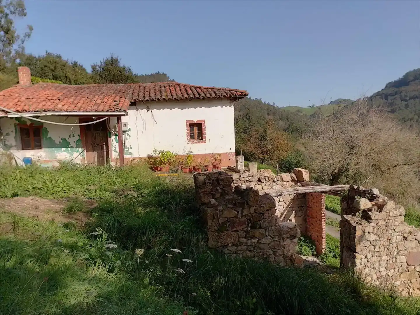 Vista exterior de Casa o xalet en venda en Salas