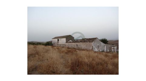 Cortijo Ecuestre, 100 h, Casa, Casita, Cortijo, imatge 2