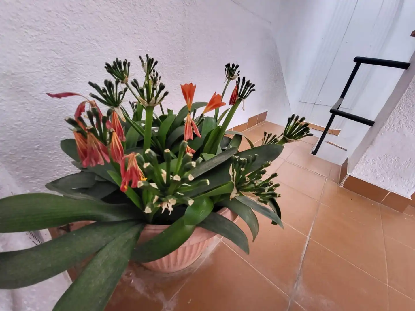 Detached house for sale in Calle de Gorgoll, imagen 36