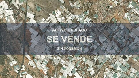 Foto 3 de Piso en venta en San Isidro - Campohermoso, Níjar