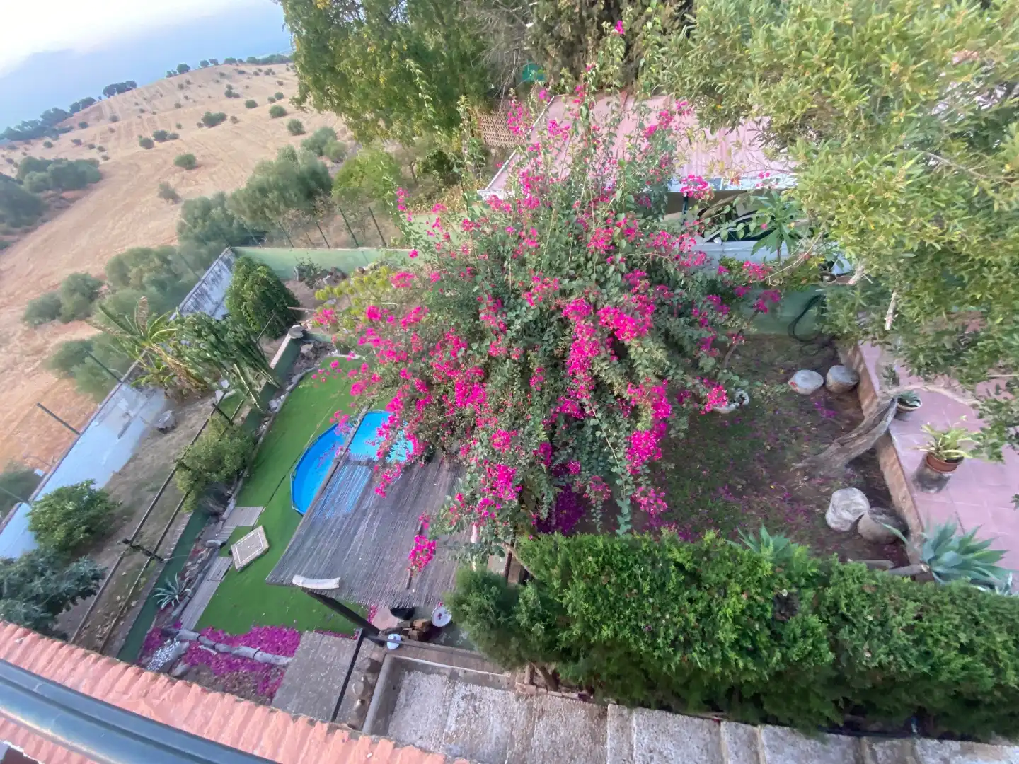 Jardín de Casa o chalet en venta en Torrequinto