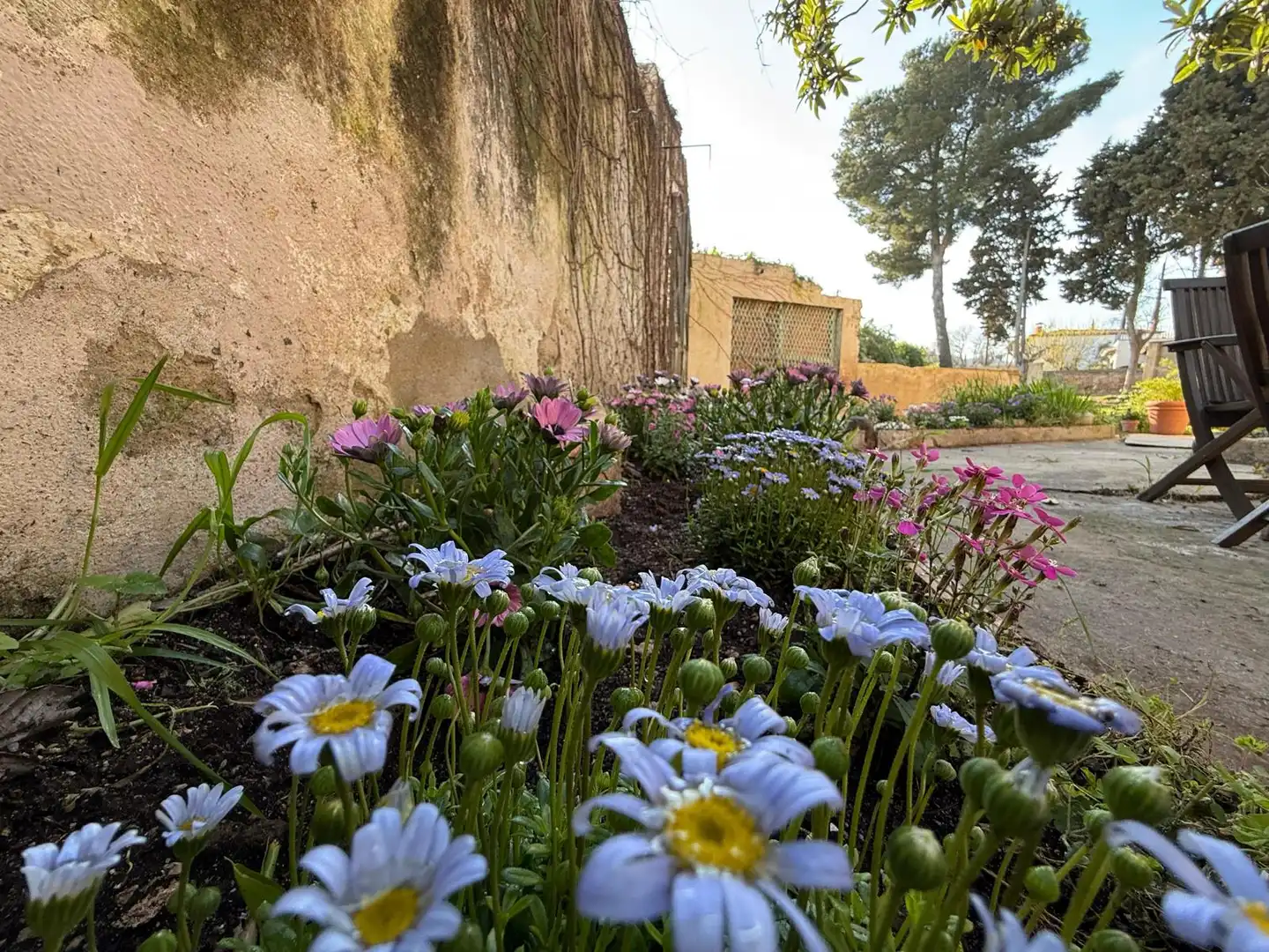 Garden of Industrial buildings for sale in Sant Feliu de Guíxols
