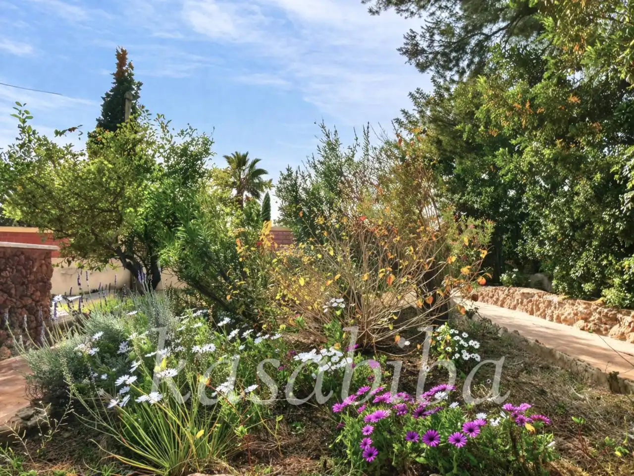 Jardín de Casa o chalet en venta en Náquera con Jardín privado, Terraza y Piscina