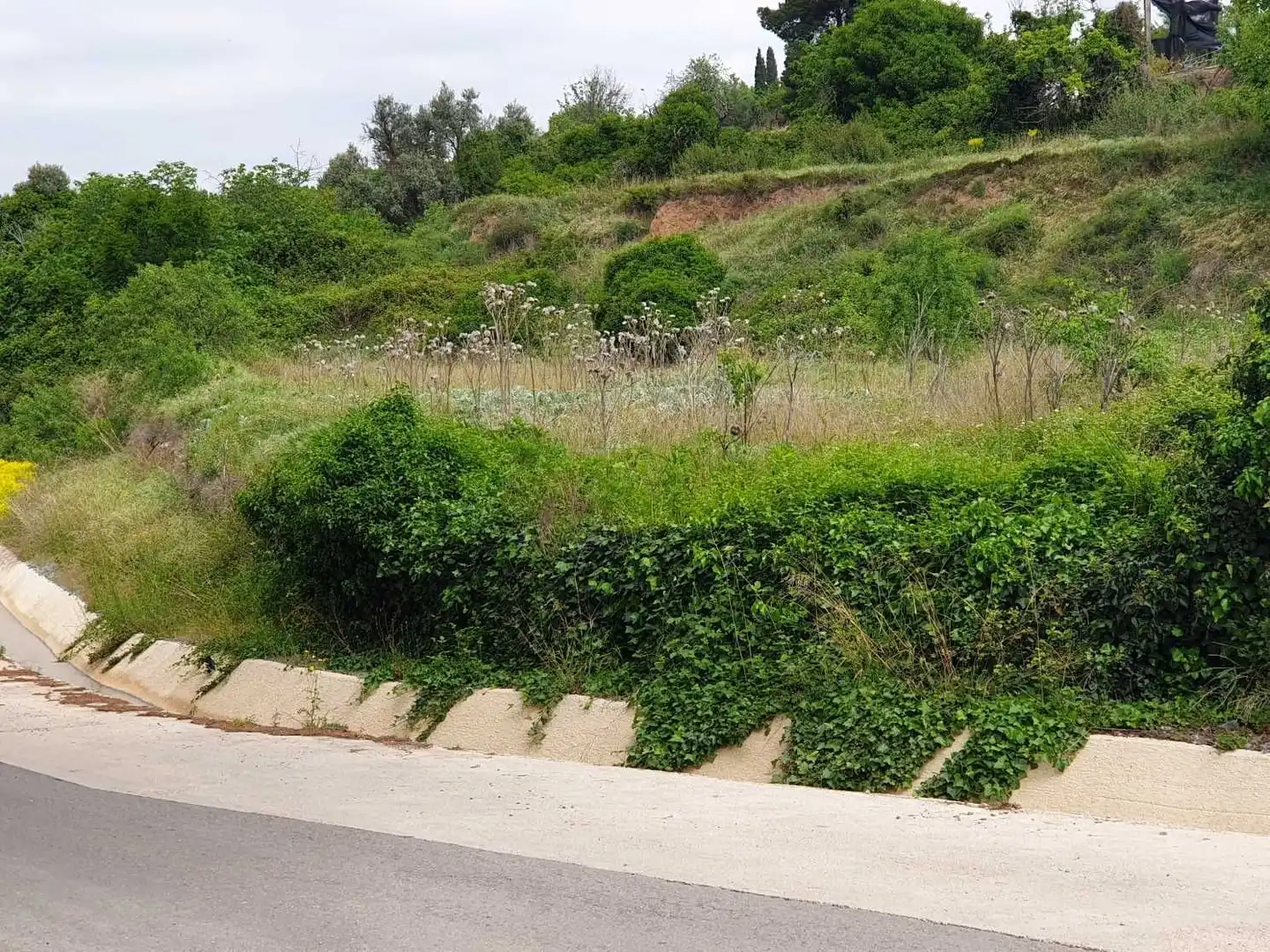 Houses for sale in Paracuellos de la Ribera