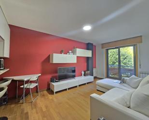 Sala d'estar de Apartament en venda en Arteixo