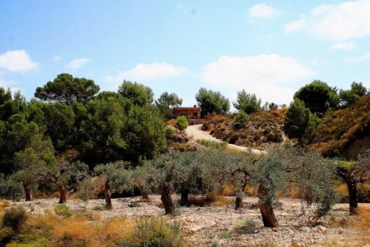 Casa rústica en venda a Campo de Murcia, imagen 26